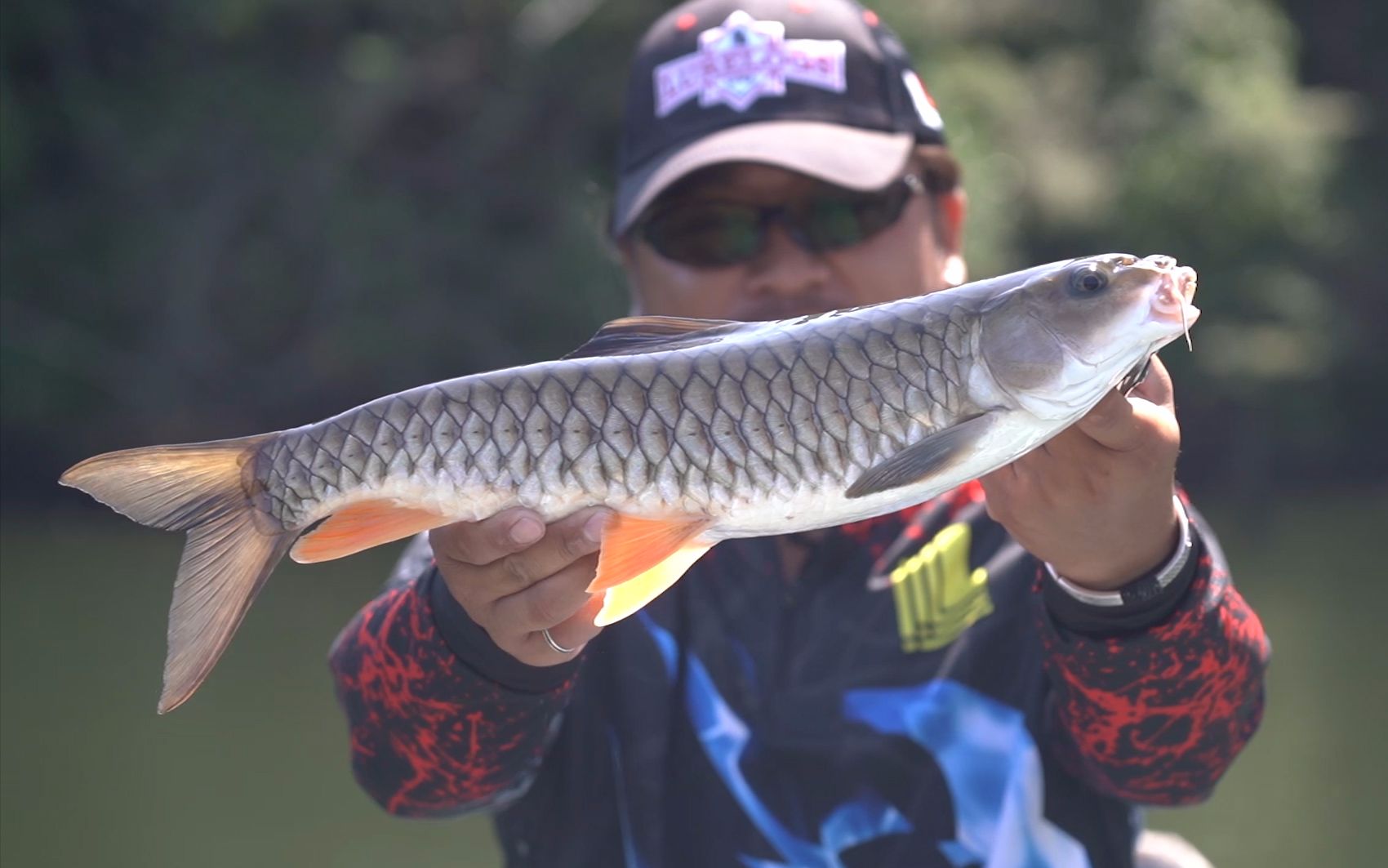 lurelogs金秋路亚 徐觉非激战魅力军鱼_哔哩哔哩 (゜-゜)つロ 干杯