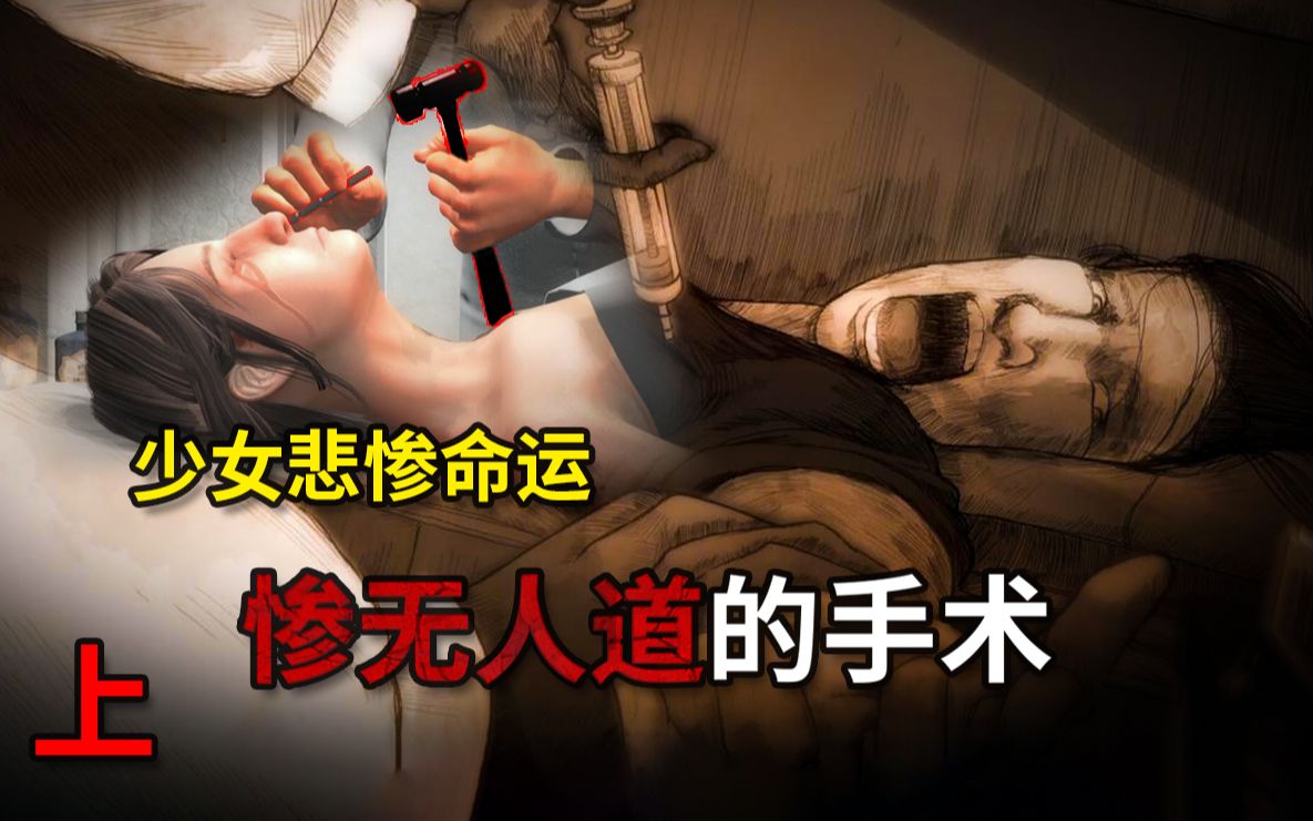 [图]【暮光小镇】精神分裂少女的悲惨命运！诺贝尔奖黑历史!真实故事改编恐怖心理游戏! 上