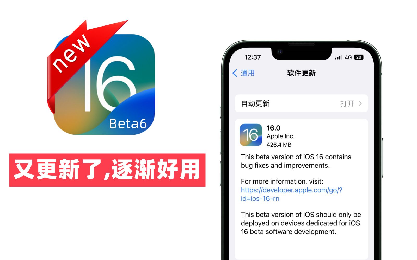 iOS16Beta6发布,解决抖音闪退等5个新改进哔哩哔哩bilibili