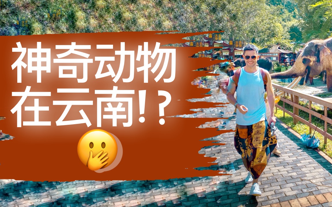 [图]【西双版纳】充满各种神奇动物的西双版纳会发生什么？