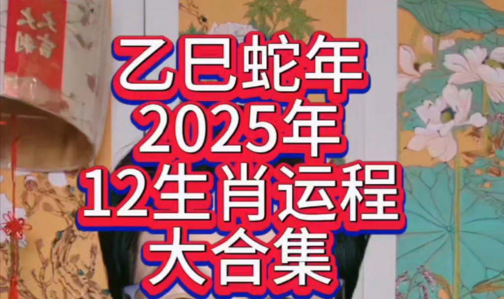 2025年乙巳年12生肖运程哔哩哔哩bilibili