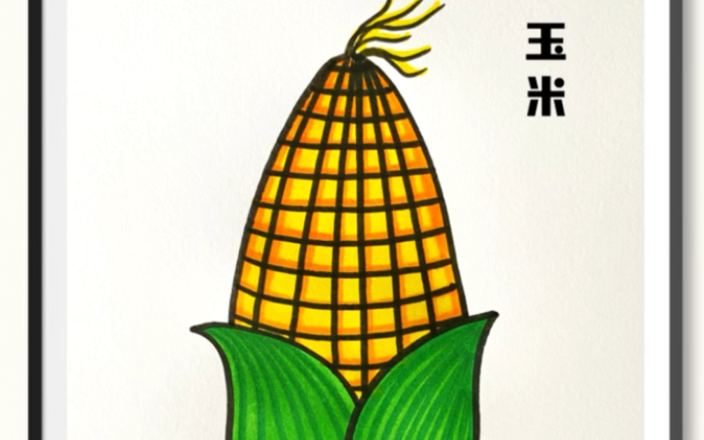 《玉米》简笔画,用字母u和y画玉米