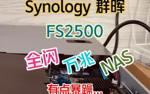 Download Video: Synology 群晖 FlashStation FS2500 12盘全闪 NAS，x能超群，有点小暴躁