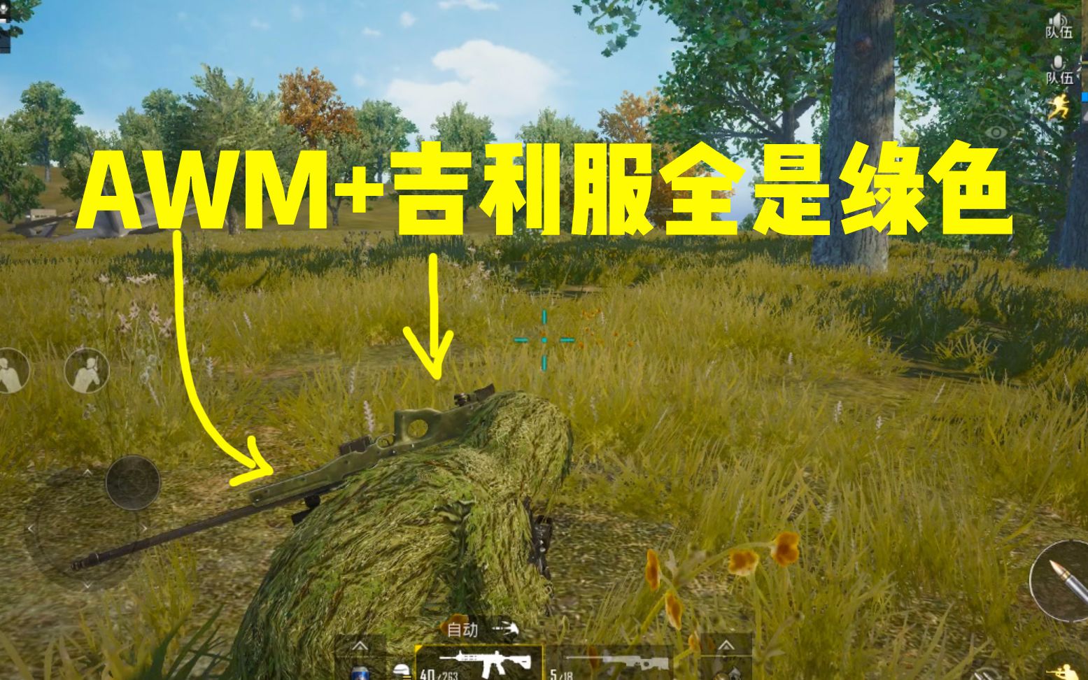 刺激战场:吉利服 awm真的无敌,全是绿色,伏地自己都看不到自己