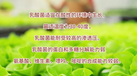 水肥发酵10.发酵常用微生物 乳酸菌哔哩哔哩bilibili