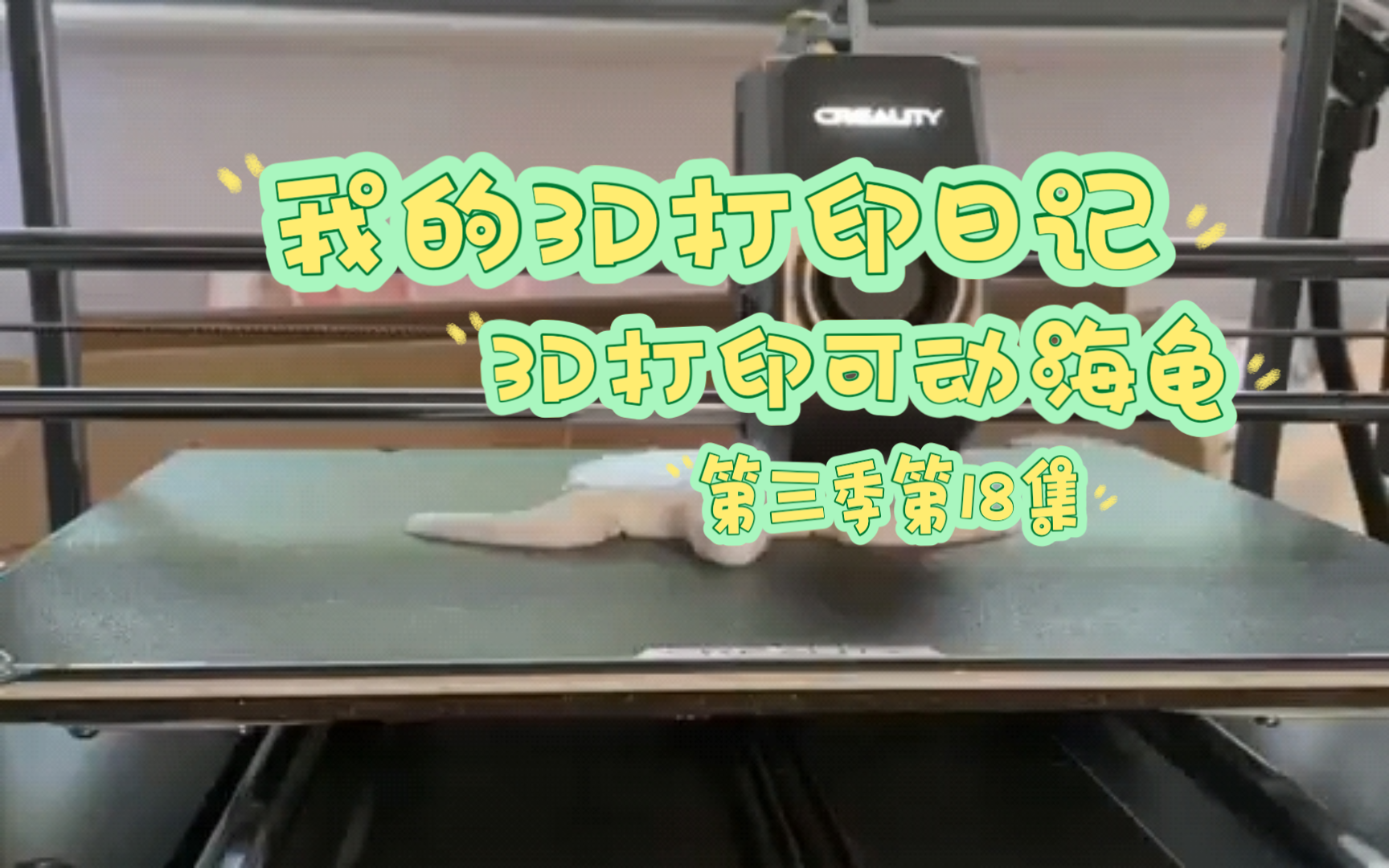 我的3D打印日记,3D打印可动海龟(第三季第18集)哔哩哔哩bilibili