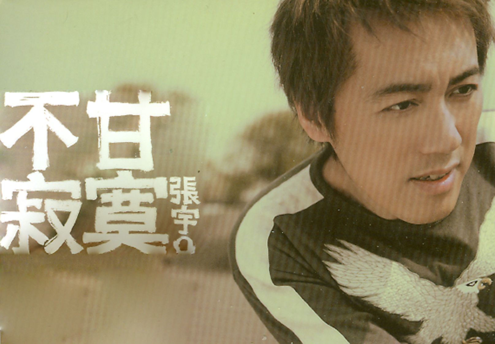 《不甘寂寞》张宇个人专辑,以更直觉的演唱技巧,突显出歌里蕴含的勇敢