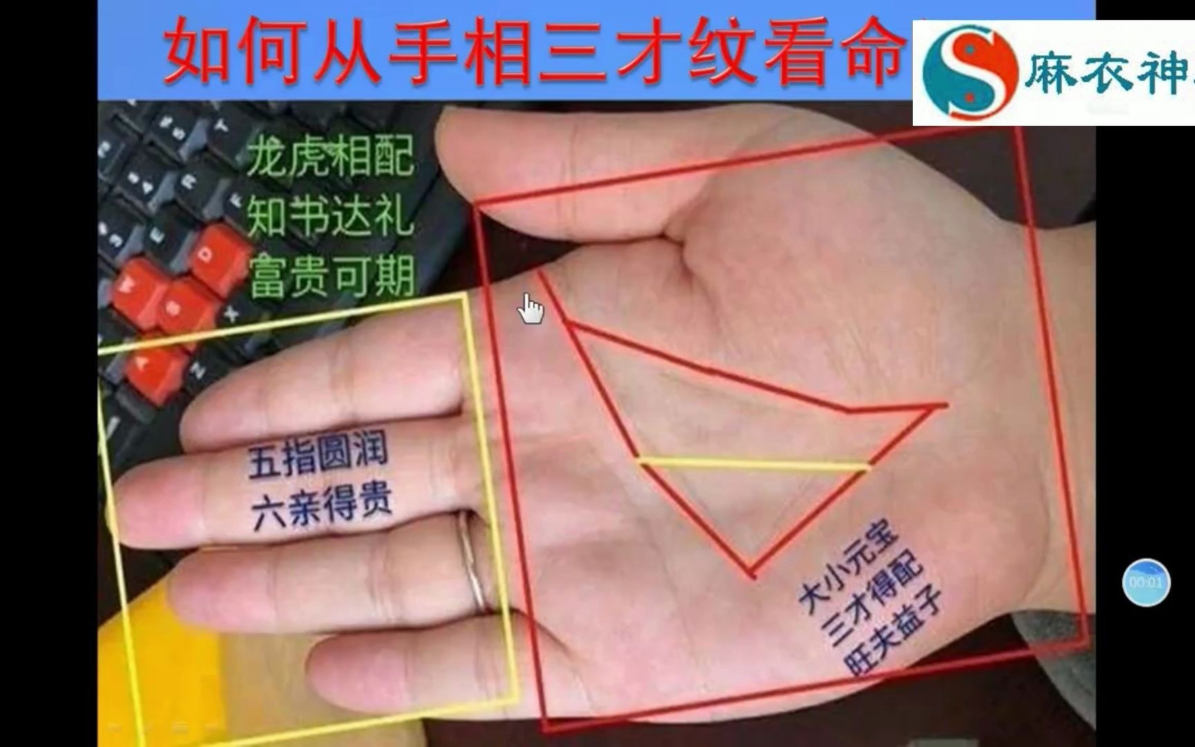 麻衣手相:把握这三点,就能铁口直断!_哔哩哔哩_bilibili