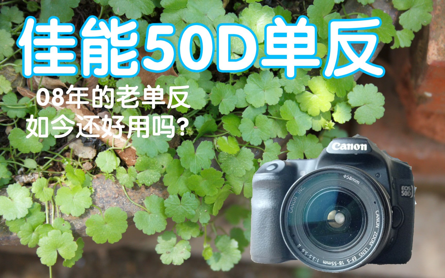 佳能50D照片分享,14年前的相机现在还能打吗?哔哩哔哩bilibili