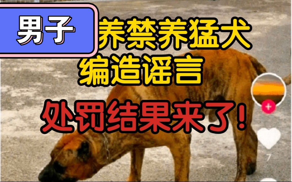 【前因后果+辟谣】山东男子养禁养猛犬,并放狗下孕妇、打人、不怕警察?养禁养猛犬是真,其他均为编造!男子因自首被行政拘留9日,并罚款3800元!...