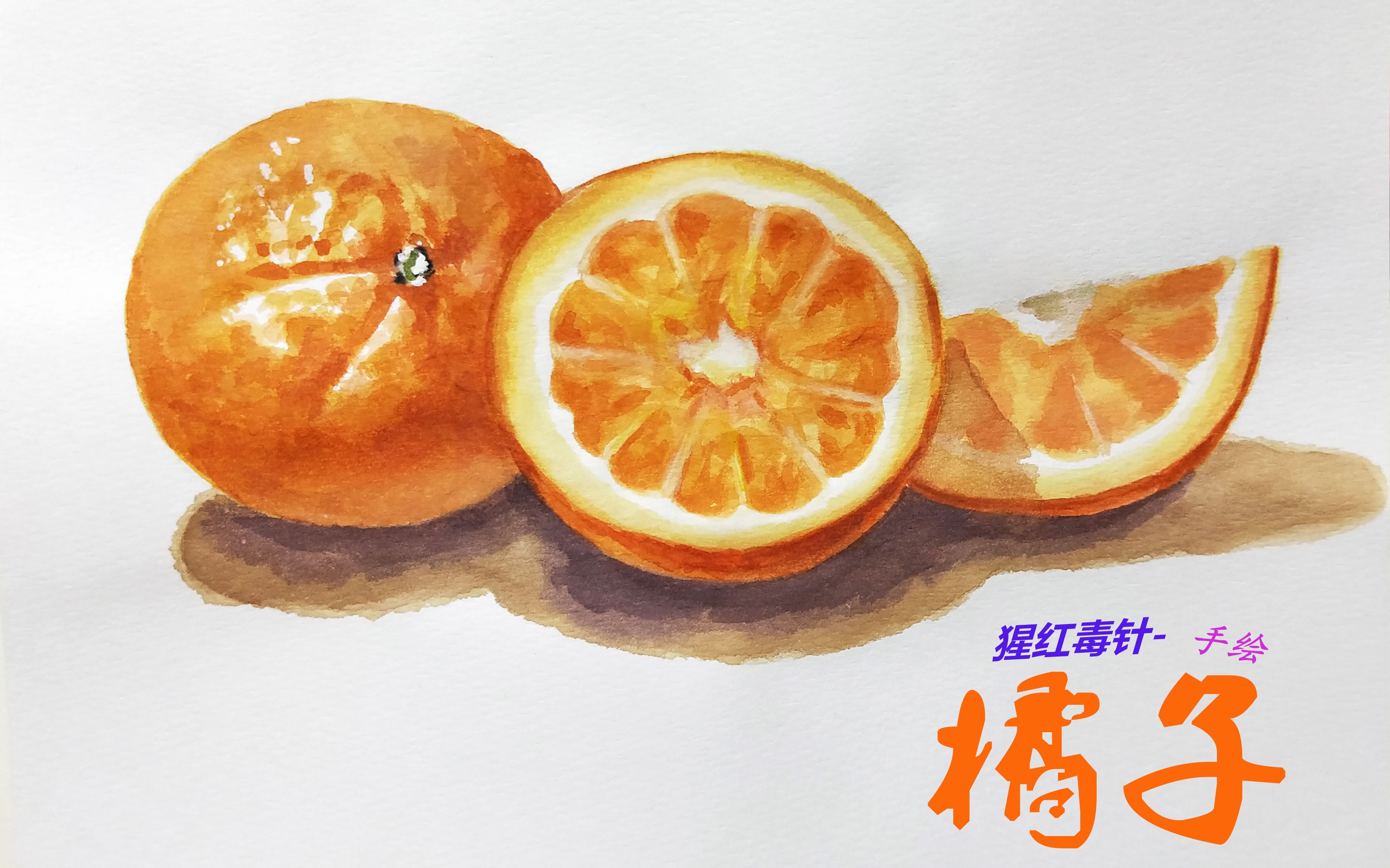 【水彩/含过程】手绘柴崎爷爷的水彩画(秋季水果篇)橘子