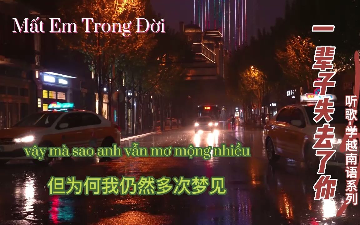 [图]听歌学越南语系列-第9期-mất em trong đời 一辈子失去了你