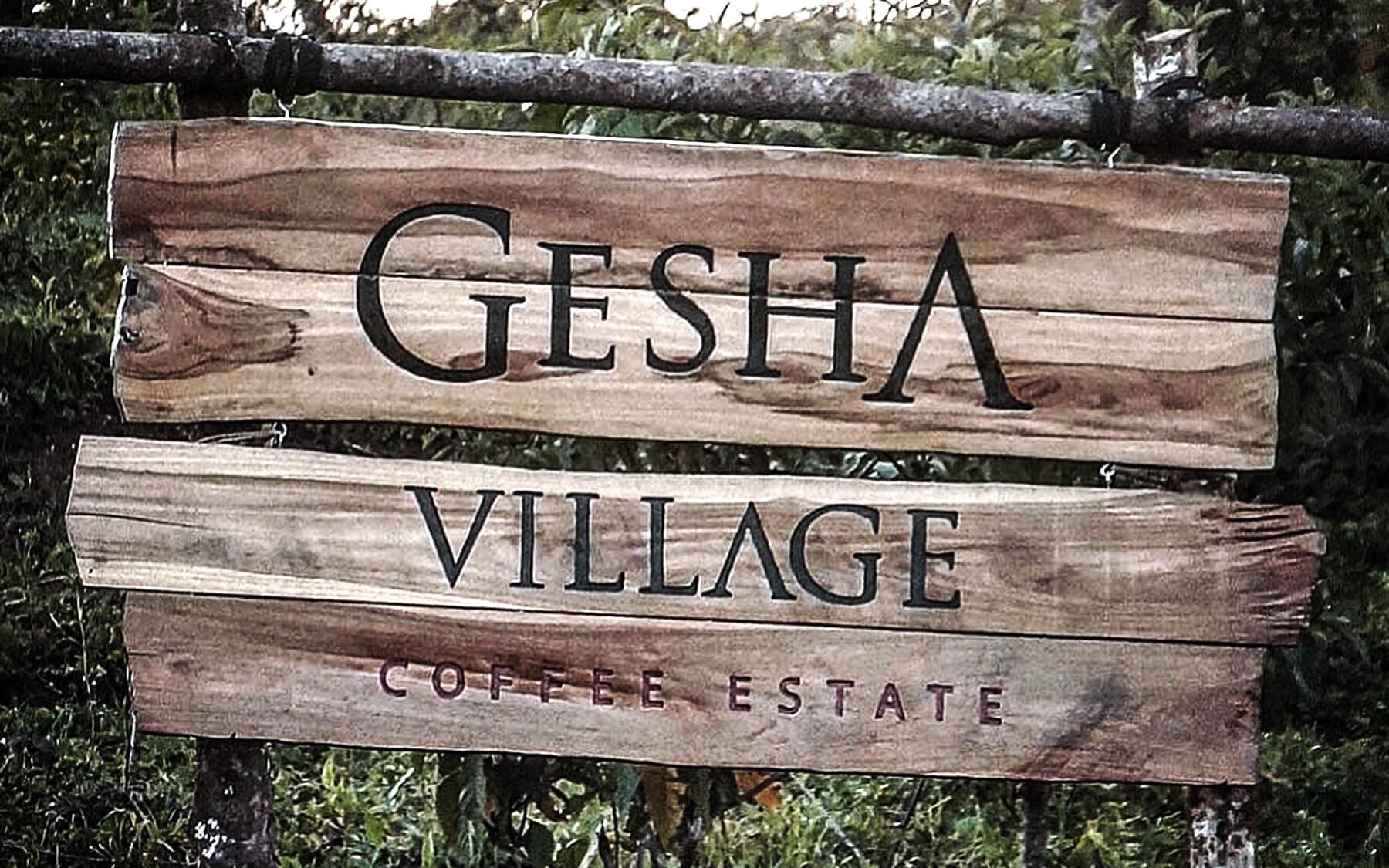 gesha village intro 瑰夏村庄园简介