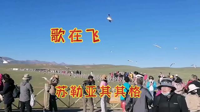 [图]经典歌曲《歌在飞》原唱苏勒亚其其格,因这首歌火遍大街小巷。