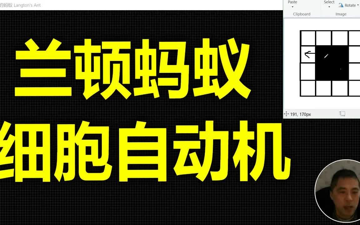 [图]兰顿蚂蚁Langton's ant介绍一种细胞自动机Cellular Automata，朗顿的蚂蚁规则简单却能生成复杂图形的元胞自动机