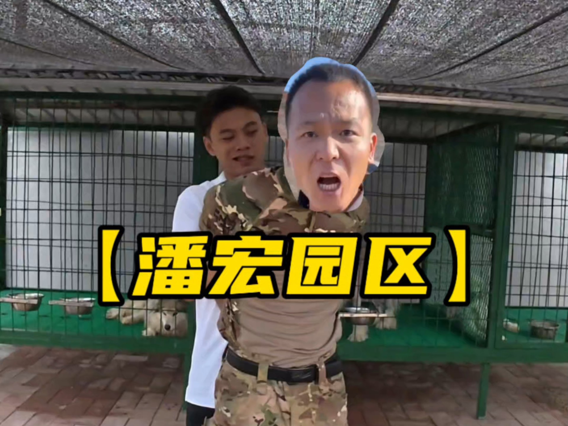 【潘宏园区】7月27号,最新视频!-潘宏爱玩狗66-潘宏爱玩狗66-哔哩哔哩视频
