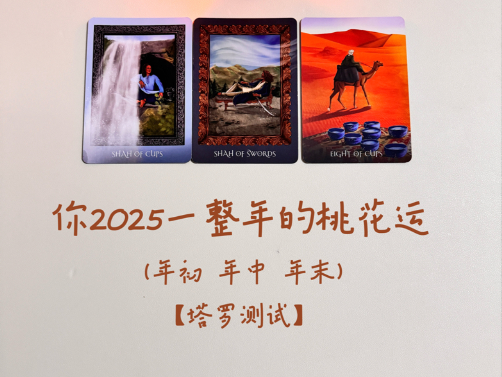 【塔罗测试】2025一整年的桃花运(年初 年中 年末)哔哩哔哩bilibili