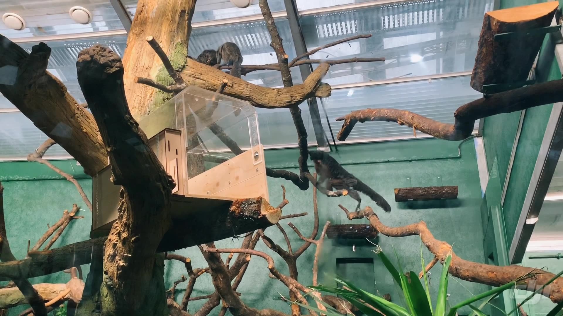 25圣诞节的赫尔辛基动物园_哔哩哔哩 (゜-゜)つロ 干杯~-bilibili