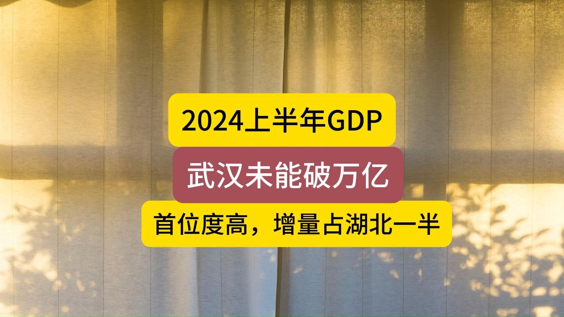 2024上半年GDP,武汉未能破万亿哔哩哔哩bilibili