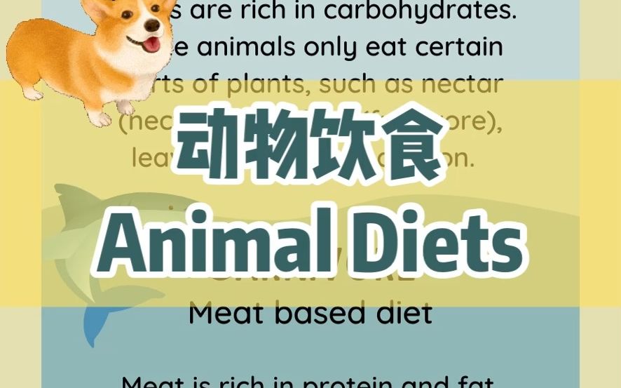 草食/肉食/杂食动物的牙齿和消化系统 - 中英双语科普_哔哩哔哩_bilibili