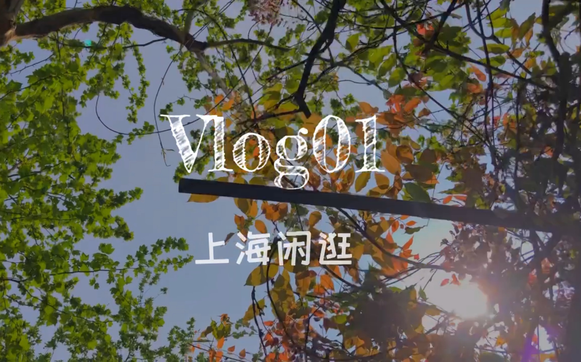 [图]VLOG01/ 『上海闲逛记』-思南公馆&很多条gai