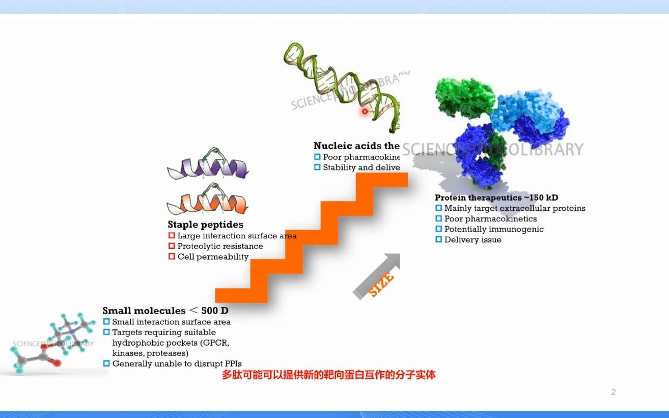 化学生物学系列青年论坛——蛋白质化学生物学哔哩哔哩bilibili