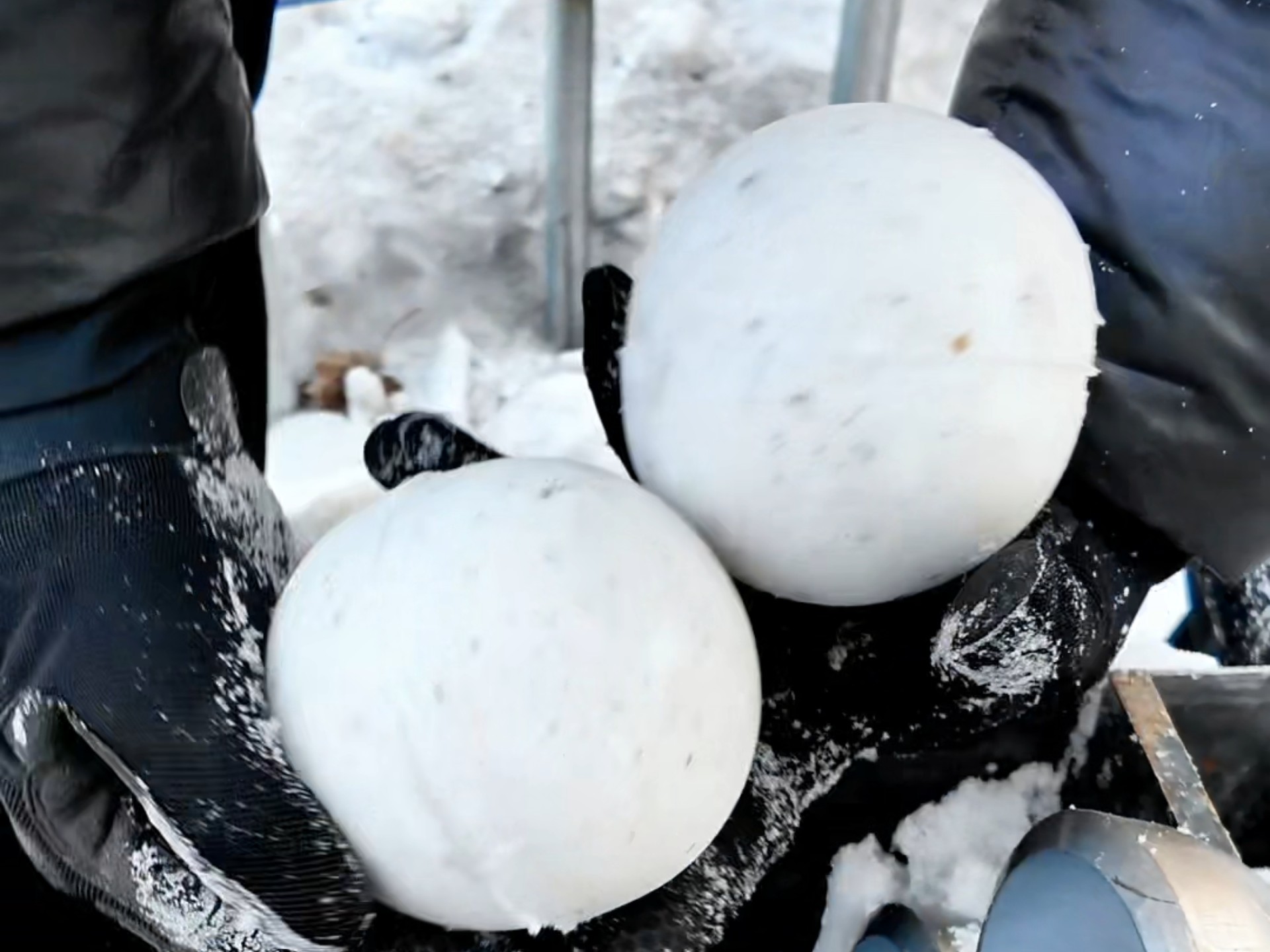 没错 东北人对雪球肯定有执念