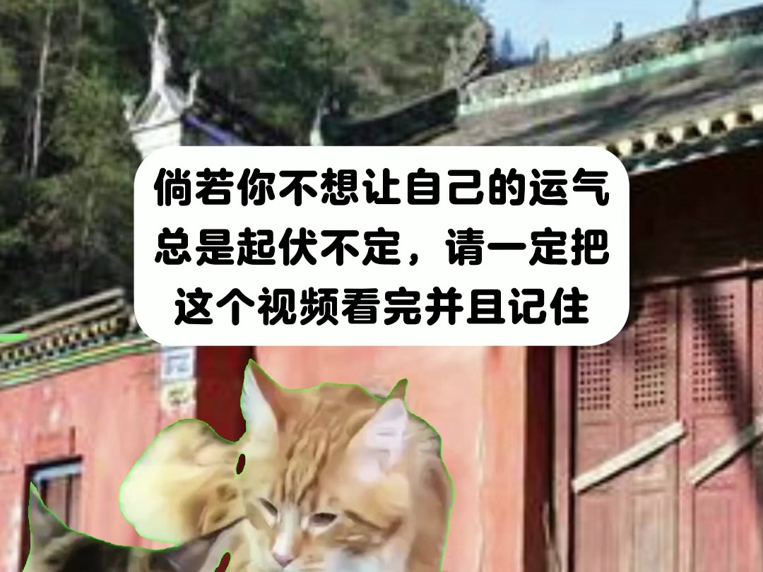 【猫meme】旺自己的知识点.哔哩哔哩bilibili