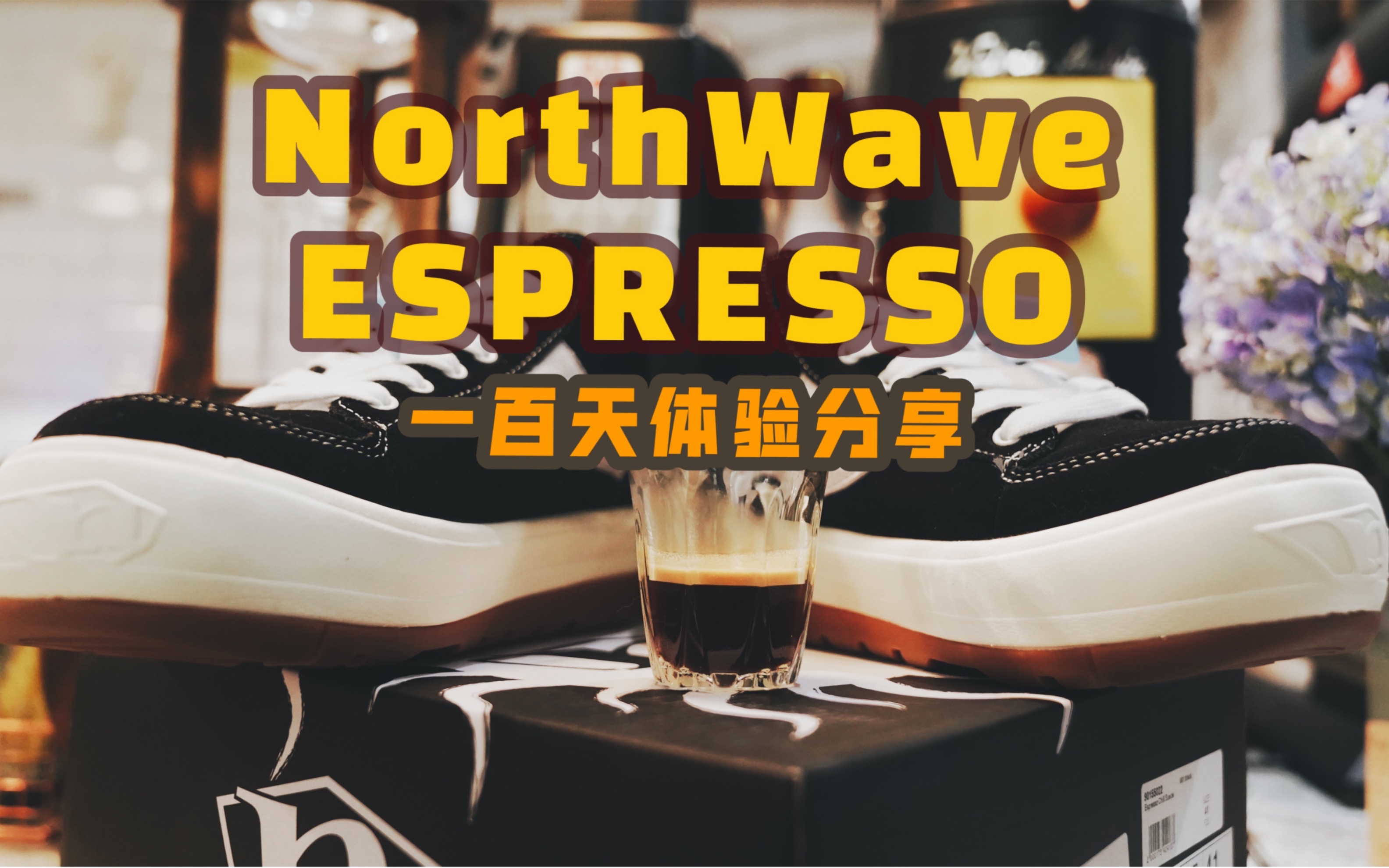 是丑还是帅?vans冬日升级款?来自意大利的品牌NorthWave意式浓缩滑板鞋B站最详细开箱体验/内含店铺打假【The GoodBuy Studio 18】哔哩哔哩bilibili