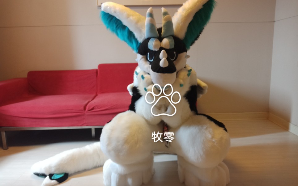 【fursuit】荷兰天使龙萨法娅宾馆出毛