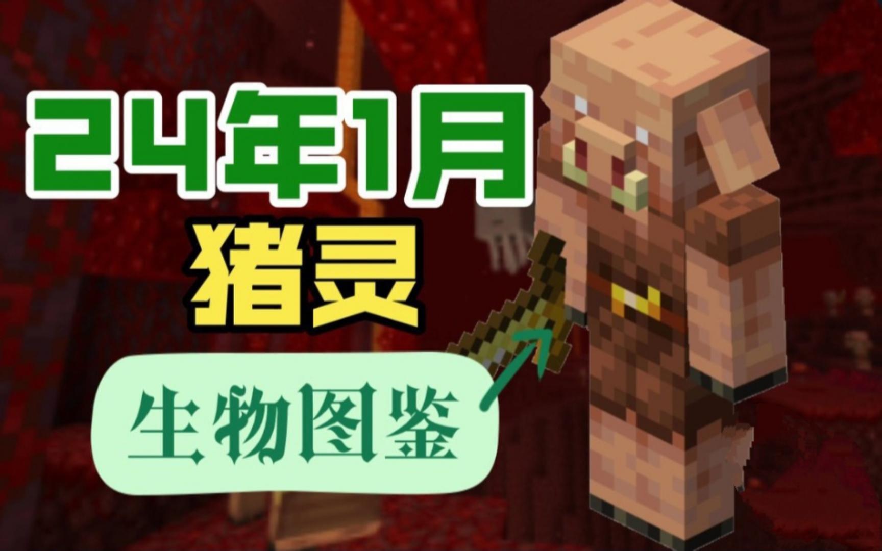 【mc生物图鉴】"先有猪灵后有天,鼻孔当眼赛神仙"