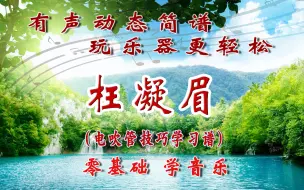 Download Video: 《枉凝眉》电吹管演奏技巧动态简谱