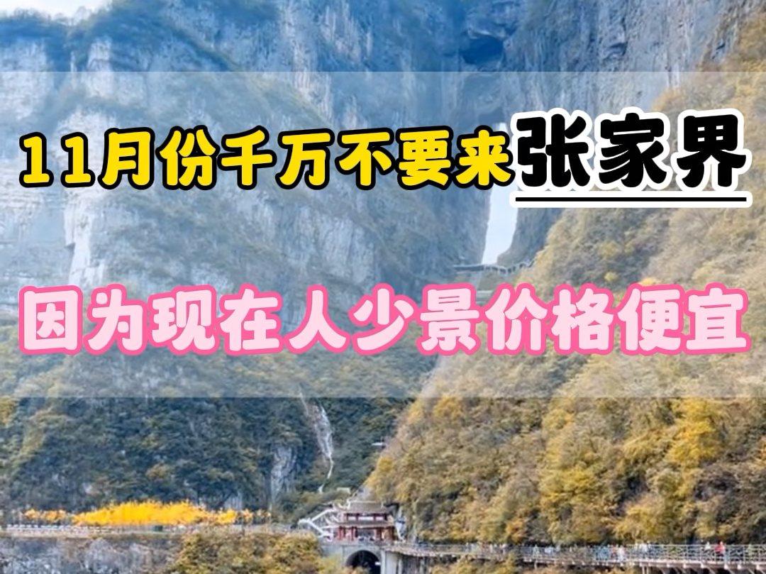 十一月份千万不要来张家界了,因为现在人少,景美,不排队,价格优惠#张家界旅游攻略 #张家界天门山 ##张家界旅行哔哩哔哩bilibili