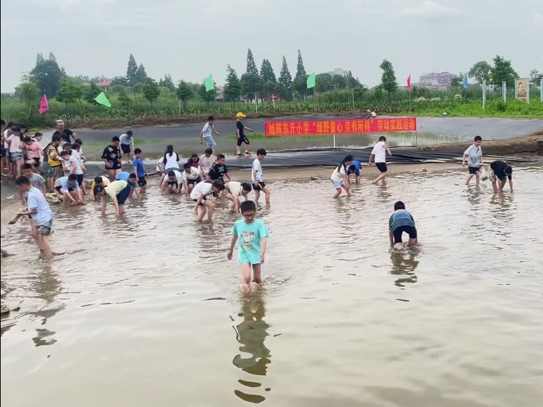 旭辉东升小学青苗基地研学实践活动哔哩哔哩bilibili