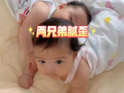 Download Video: 【安宝与康宝】最新视频上线，求关注！