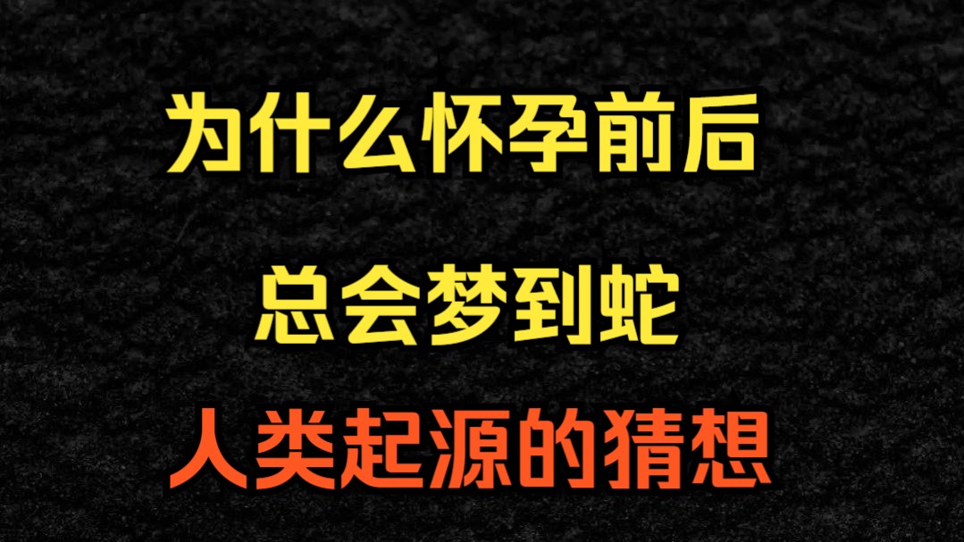 为什么怀孕前后总会梦见蛇?哔哩哔哩bilibili