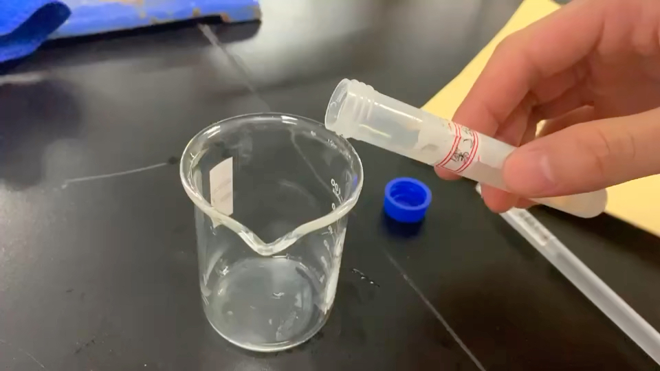 22食检6班第二组"从牛奶中提取酪蛋白"#食品生物化学#实验