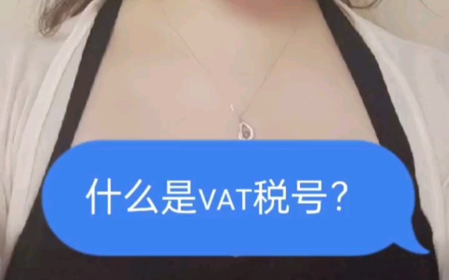 什么是vat税号哔哩哔哩bilibili