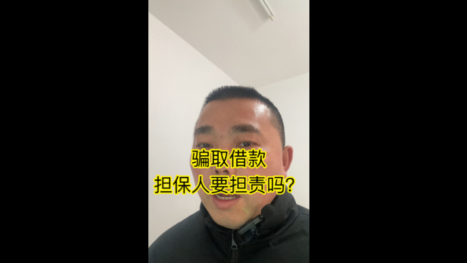 #骗取借款,担保人要担责吗?哔哩哔哩bilibili