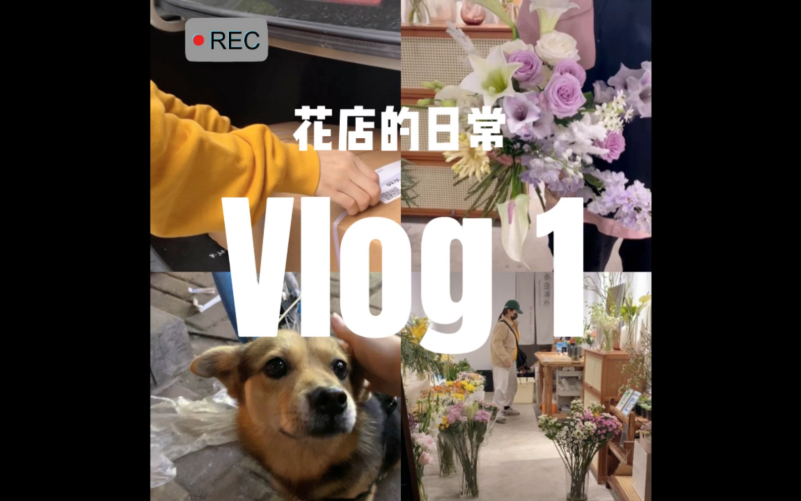 成都花店|30岁设计师|裸辞创业开花店|也猫花艺的日常Vlog1哔哩哔哩bilibili