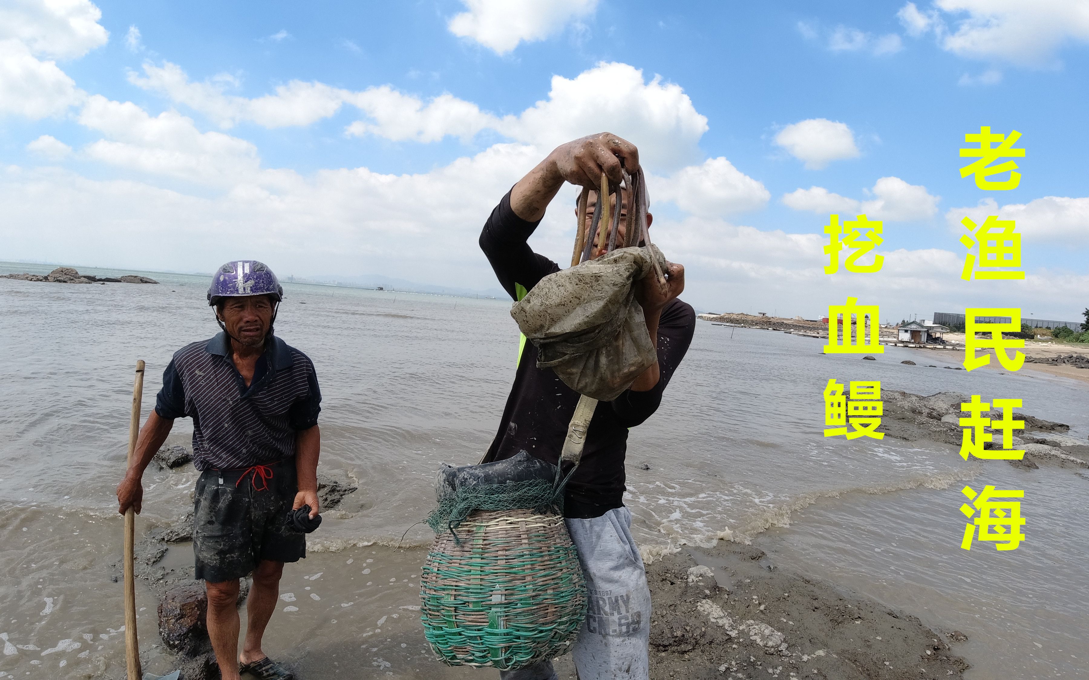 老渔民赶海挖260一斤的血鳗,酒店都得预定,实在是抢手-钓鱼大锋子-钓鱼大锋子-哔哩哔哩视频