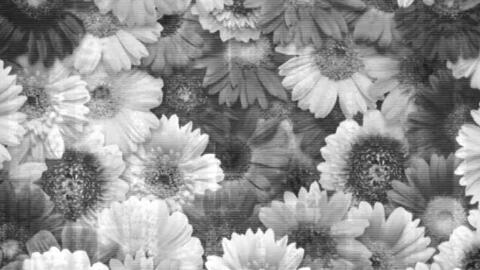 平沢進 パレード Hybrid Phonon風アレンジ カバー 哔哩哔哩 Bilibili