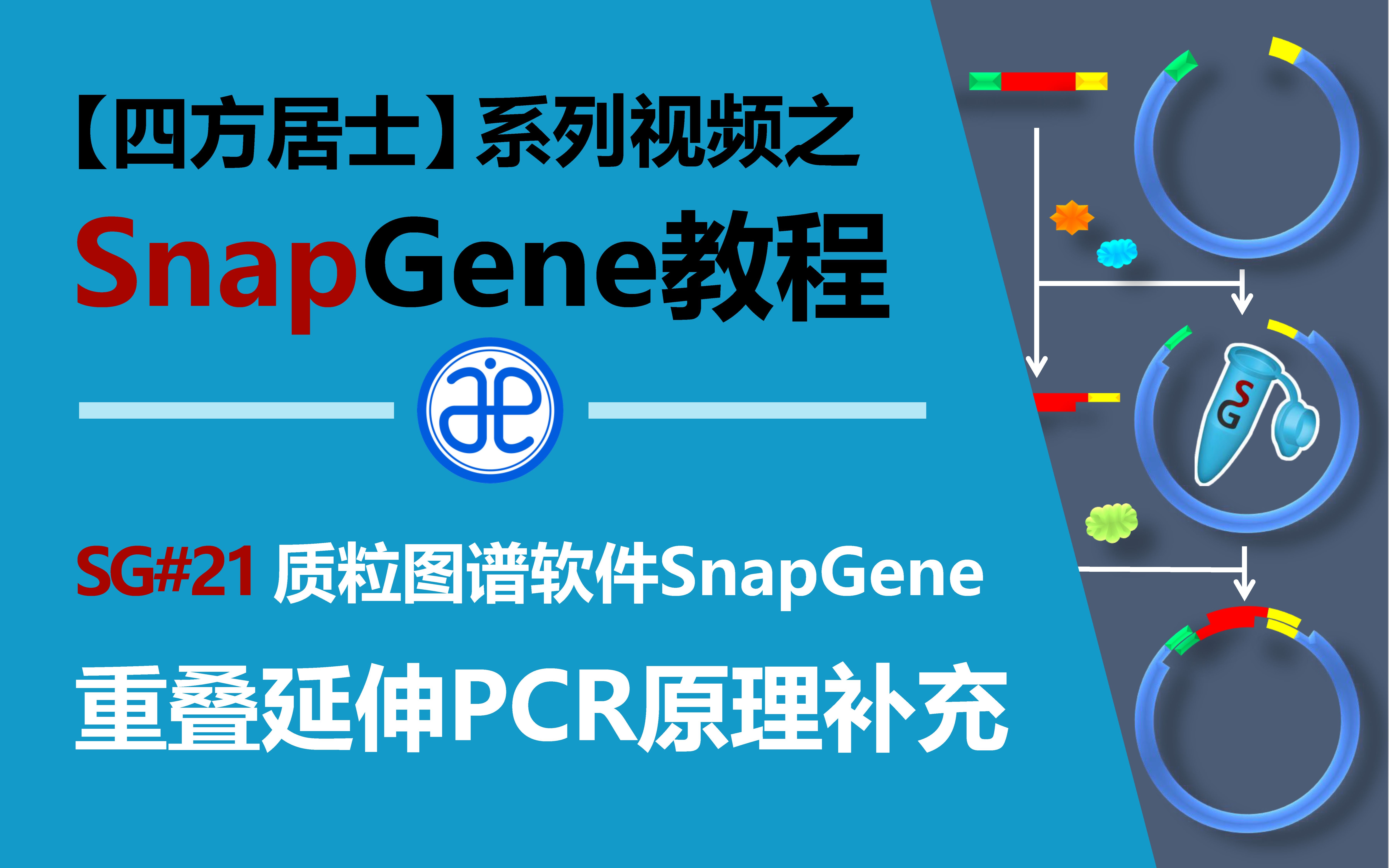 【四方居士】SG#21质粒图谱软件Snapgene重叠延伸PCR原理补充哔哩哔哩bilibili