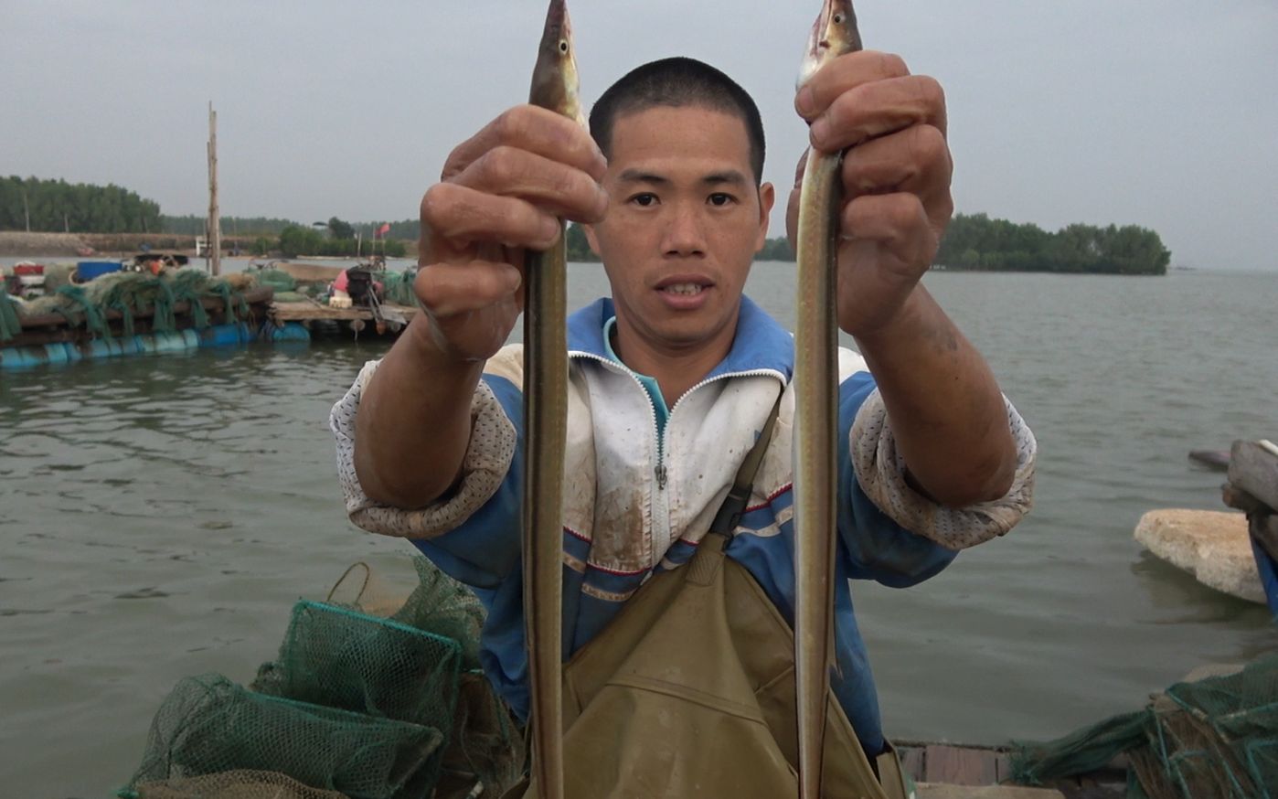 小池今天赶海又抓到两条靓货还有很多鱼虾海鲜收获满满的