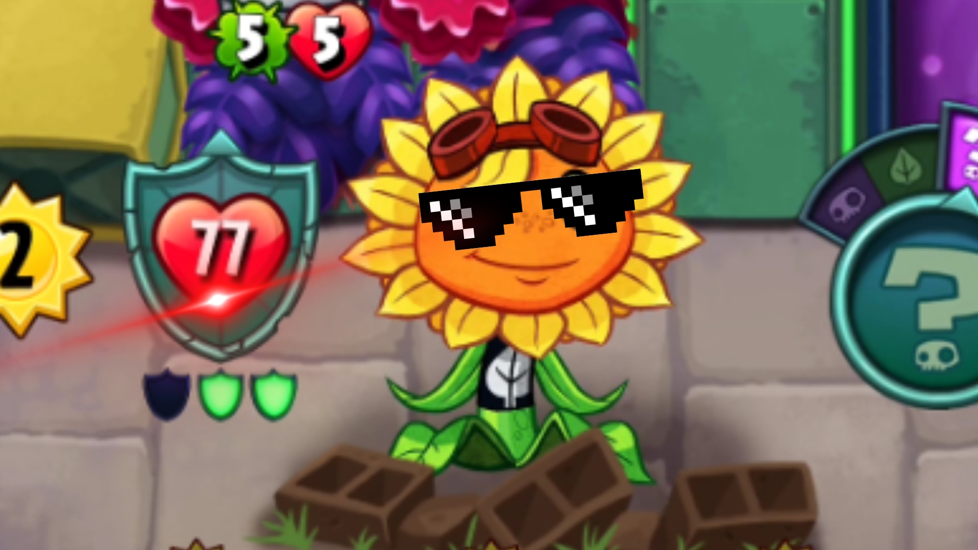 耀斑花:我无敌了 你随意