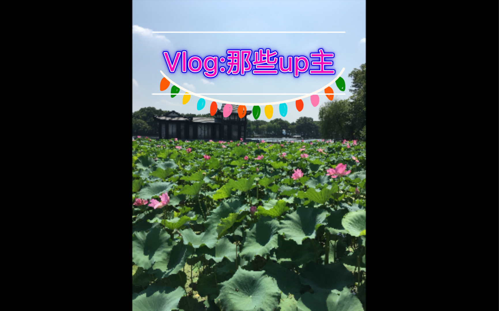 Vlog:博主 up主看的up主们,快来看看有没有你常看的哔哩哔哩bilibili