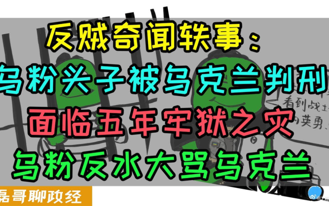 ...乌粉头子被乌克兰判刑!拍乌军防空好心办坏事,面临五年牢狱之灾反贼大撕裂!乌粉反水大骂乌克兰腐败不民主,反贼润乌克兰竟然靠在地下室拍毛片赚...