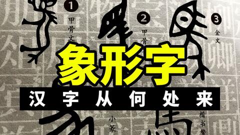 甲骨文 象形字 下 哔哩哔哩 Bilibili