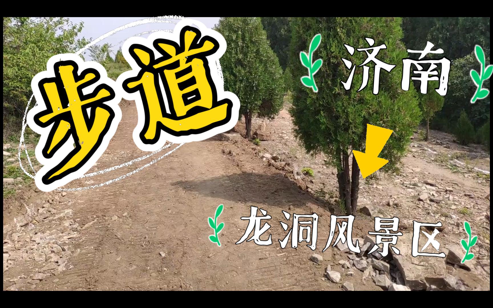 济南龙洞风景区在修建新的步道(1)哔哩哔哩bilibili