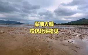 Video herunterladen: 深圳大鹏欢乐赶海拾贝攻略（可露营）